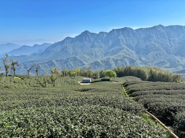 溪頭六連峰O繞2741805