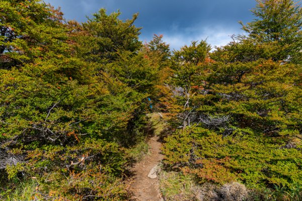 阿根廷馬駝鹿山環線第一天568837