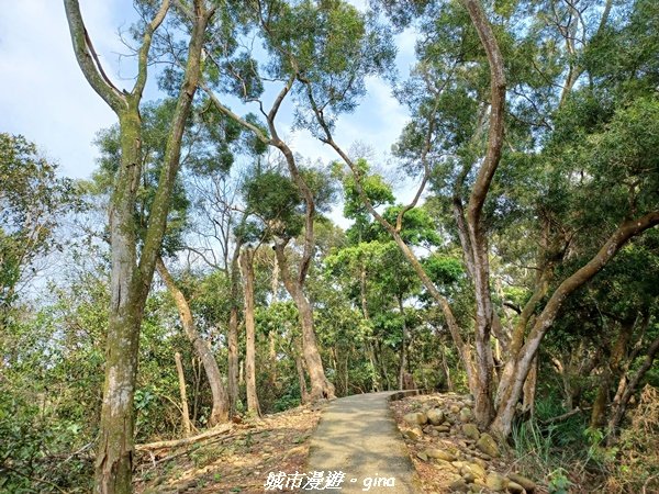 【彰化員林】綠樹林間散散步。 臥龍坡步道1691270