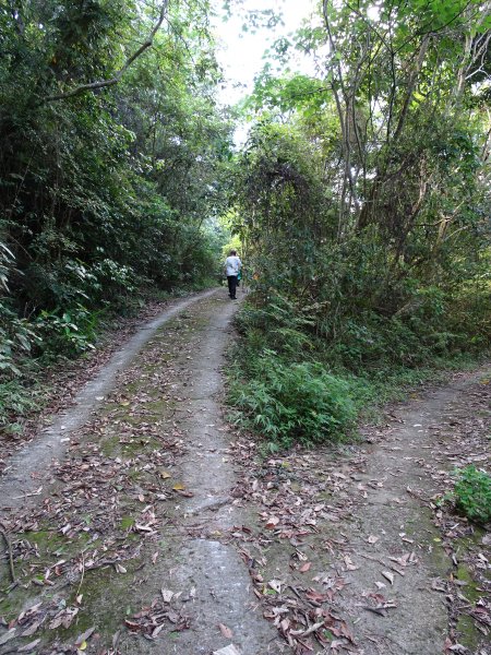 台灣小百岳第69座高雄甲仙白雲山之三角點993566