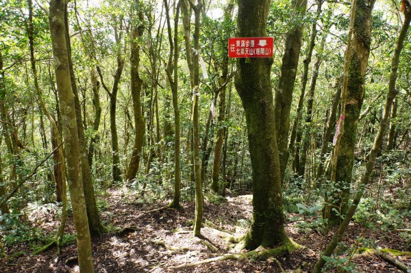 桃園-三峽 志繼山、東眼山、拉卡山、卡外山3005203