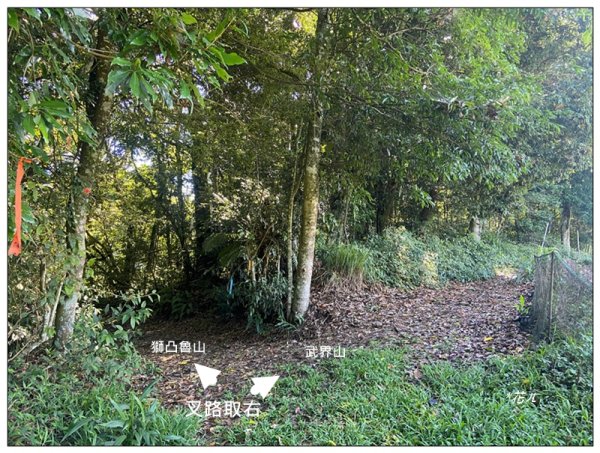 武界山、獅凸魯山、橫屏山、橫屏山西峰 連走2846117