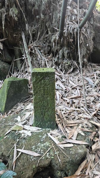 20251007冷水山西峰-三重橋山-挑硫古道-大油坑山前峰-大油坑山2907650