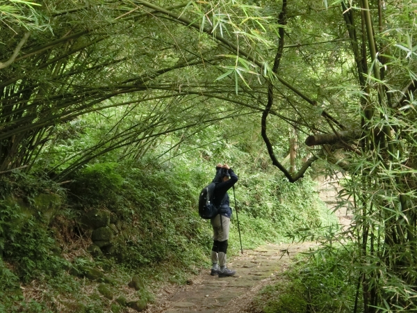 面天山．向天山．向天池94286