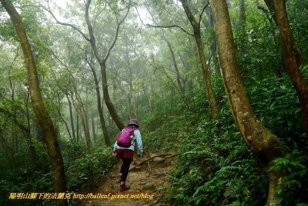 【新竹】石壁潭山-中坑山-飛鳳山