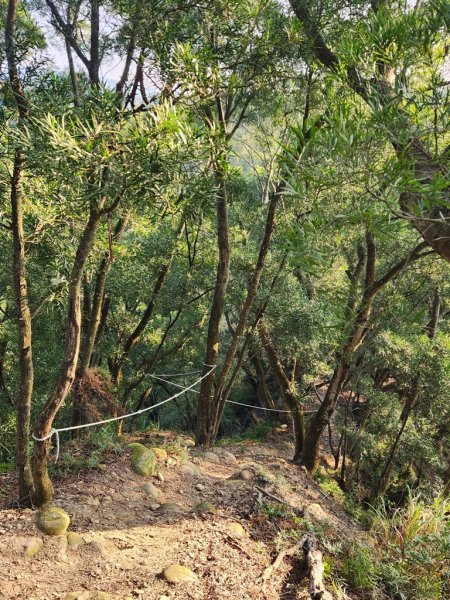 【田中秘境】田中大小劍+小奇萊O繞2719657