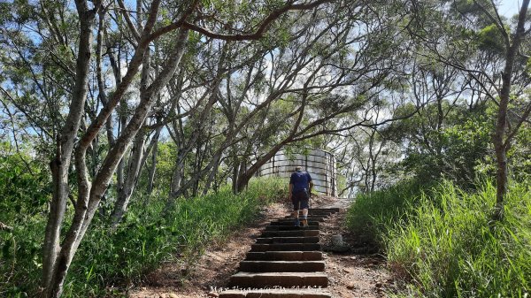 《台中》心靈雞湯｜大肚萬里長城登山步道O繞202507052827434