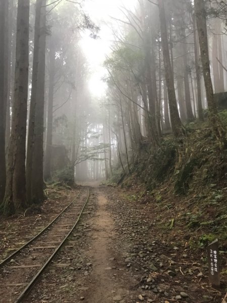 特富野古道903204