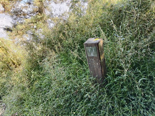 北一段(03/14)多加屯山 2025_0906~132885254