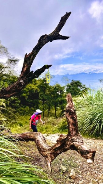 烘爐地山、桶後溪源頭O走2593132