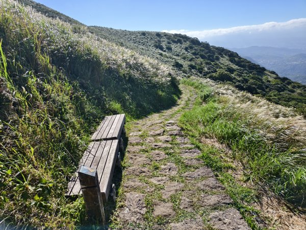 [百山百鳥尋旅-11/15] 2025_0927 大屯主峰-連峰步道_大屯山南峰2899344