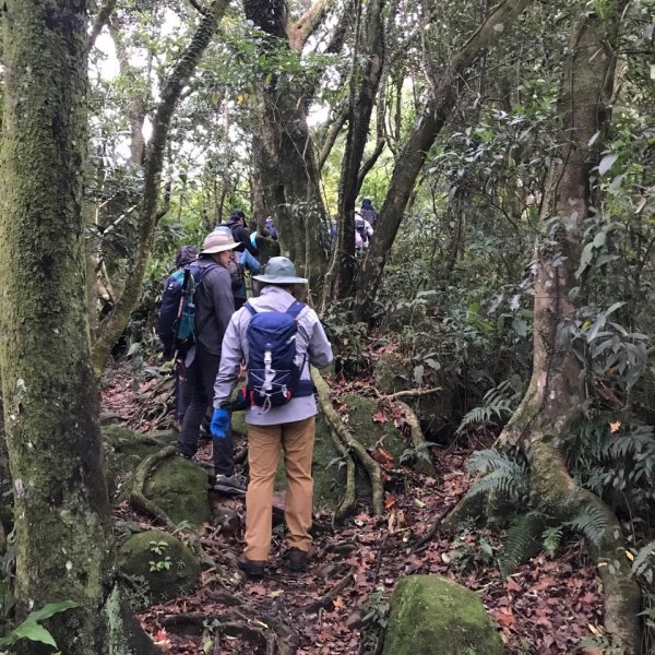 2021 陪公子登山 深坑二格山1555603