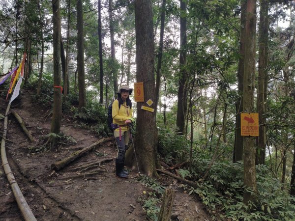向天湖三山+ 南大龜山3012341