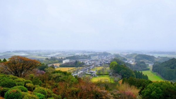 宮崎青島,母智丘,桷志田,櫻島,渡輪3027898