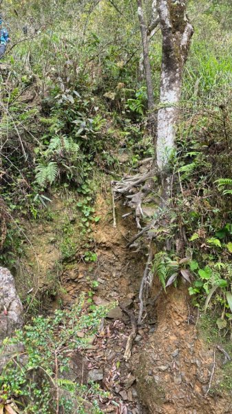 20240419-20松羅湖二天一夜2767377