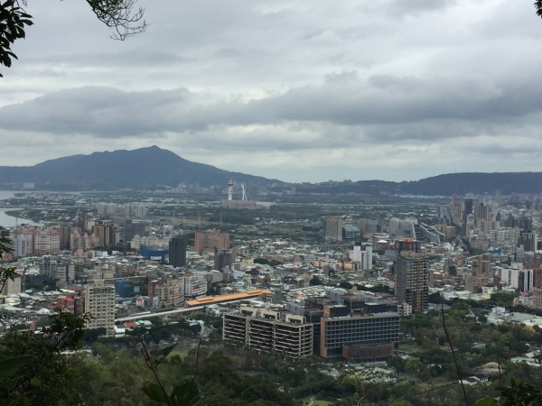 2018.01.30 五指山系小縱走260039