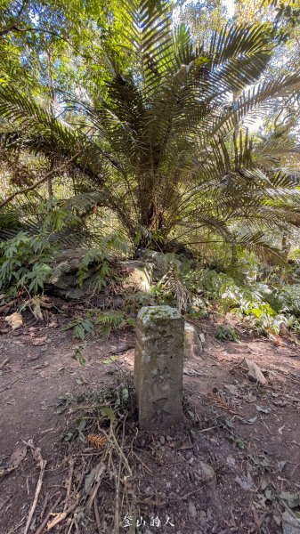 雪山坑環線步道2988758