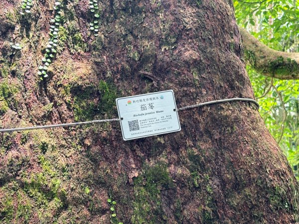 四寮溪生態步道2828536