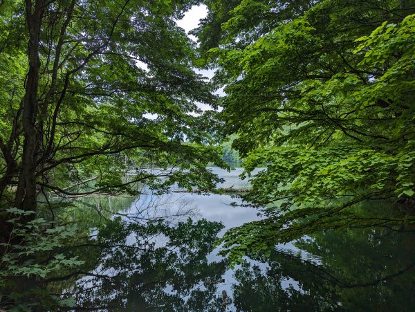 2023-06-14 十二湖（日本）2793204