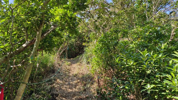 貢寮區三貂角燈塔+萊萊越嶺古道+萊萊山+萊萊三叉峰+吳家古厝+舊草嶺隧道北口+福隆車站3001130
