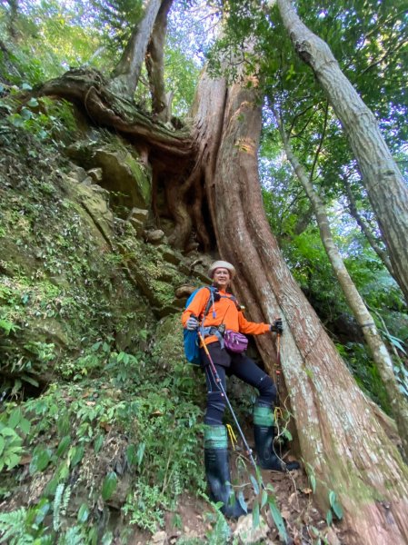 雙鳥縱走+那結山1312838