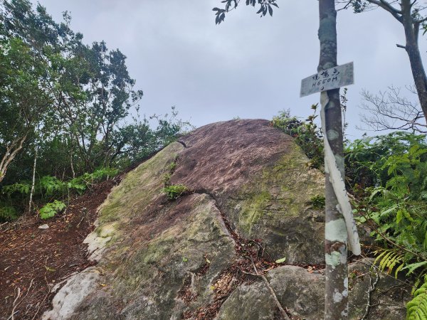 20241208上坪登五指山2683660