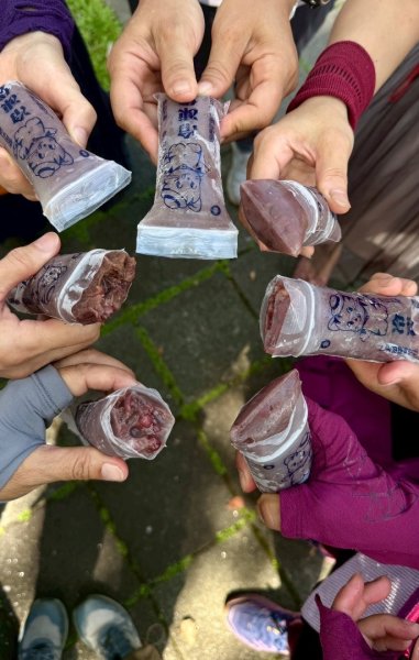 雨天備案💙 台灣博物館的古生代館-台大動植物館免費參觀-北投♨️季2808841