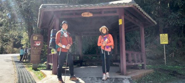 水漾森林、鹿屈山、眠月神木2729633