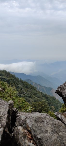 中級山-鳶嘴稍來2889029