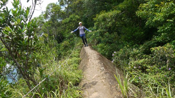 皇帝殿登山健行趣(郊山)1533749