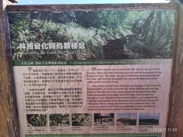 【臺北大縱走 2】【第二回合全程完成證書】鞍部→大屯山步道→大屯山主峰→大屯坪步道→二子坪步道2960398