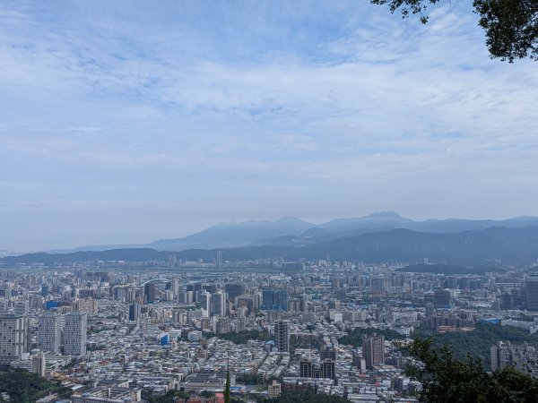 2025-06-01 五進五出九五峰2803012