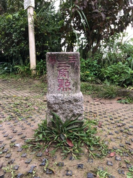 南勢角山（烘爐地—青春步道）550206