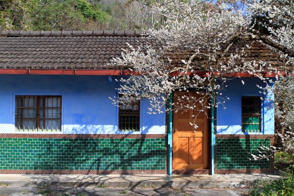 【南投~信義 】牛稠坑賞梅1254940