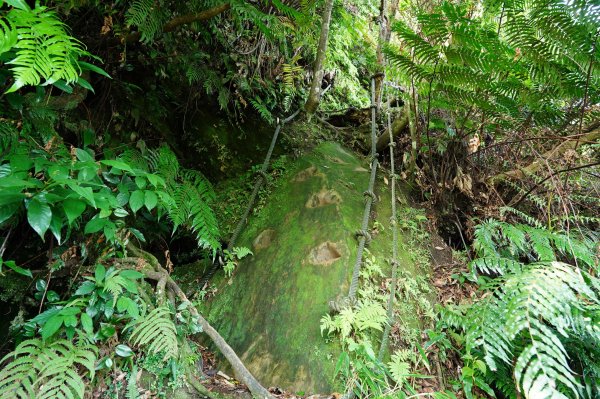 新北 三峽 白雞山、雞罩山2551216