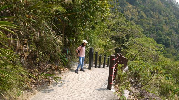 三汀山登山健行趣（小百岳43號）1512942