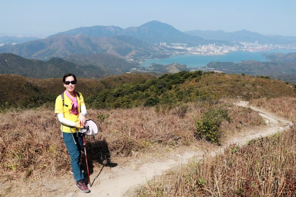 HK - 觀音脊、八仙嶺1465883