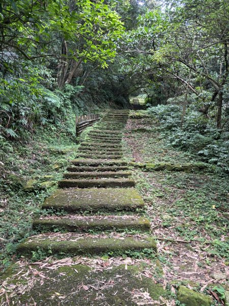金字碑古道3067244