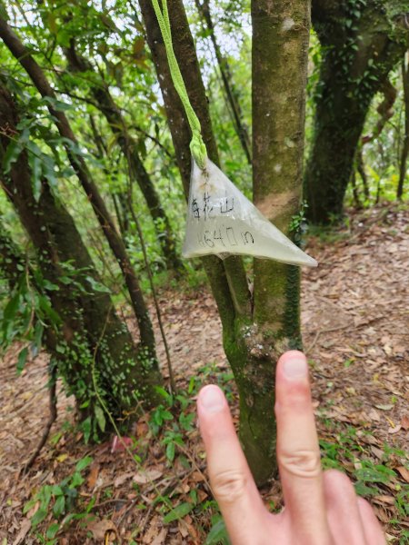 金面山-風櫃嘴折返跑2777499