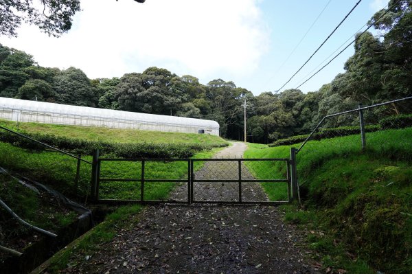 南投 仁愛 北東眼山、中央東眼山2623610