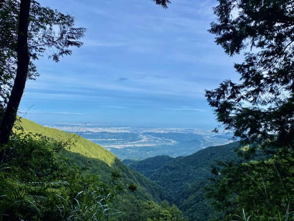 橫嶺山-沙蓮山-笛吹山連走    2022/7/51754681