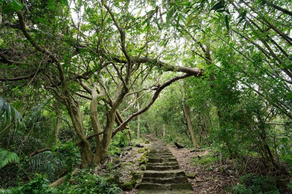 臺北 北投 嘎嘮別山、稻香山、貴子坑山2760540