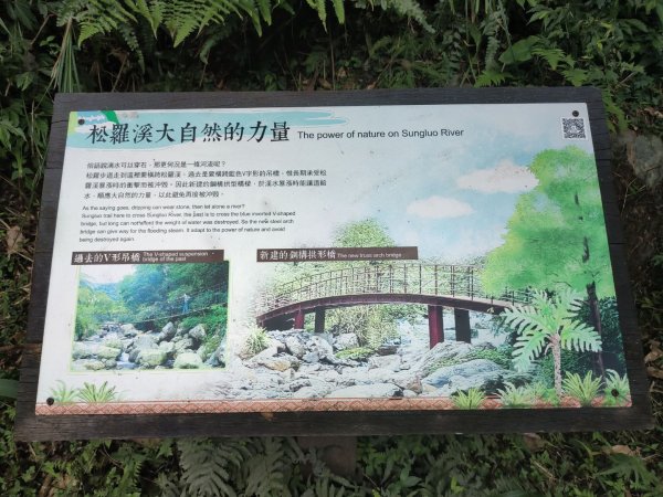 1140123松羅國家步道3098747