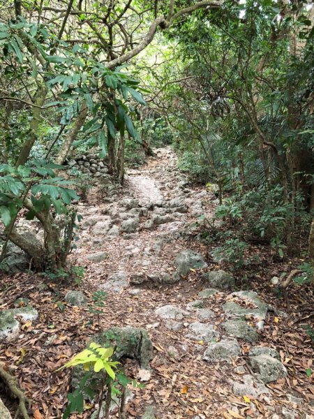 2020.04.02北柴山900679