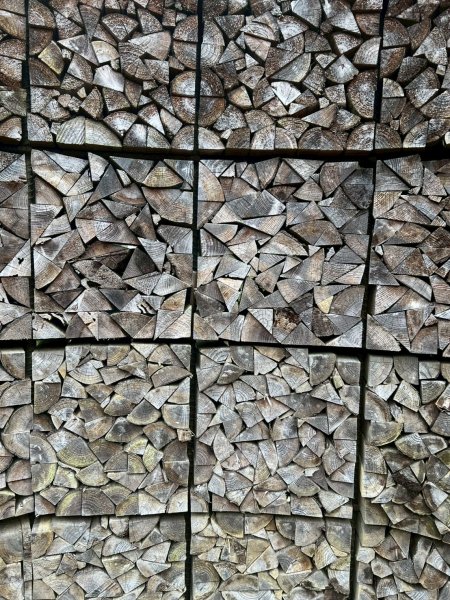 嵐山再古坑。五元兩角 木馬古道2806197