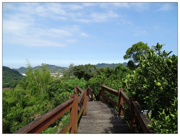 石岡/挑物古道封面