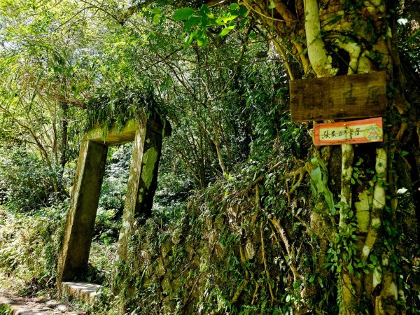 中坑古道(淡蘭中路)-新北市雙溪區2886237