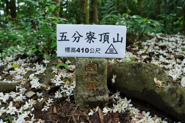 新竹 北埔 五分寮頂山、大南坑山、焿寮坪山、內大坪山2489177