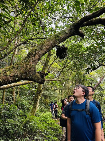 浸水營古道-年輕人爬山趣2767161
