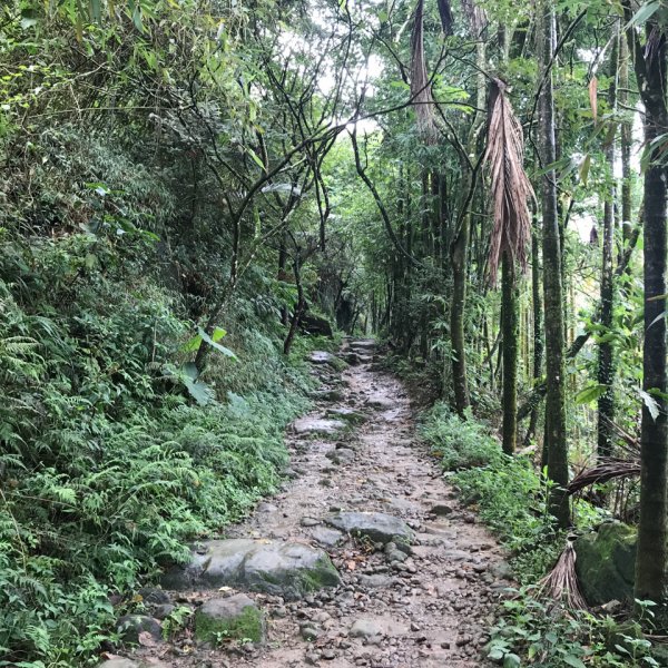 大凍山、雞籠山環行1076514